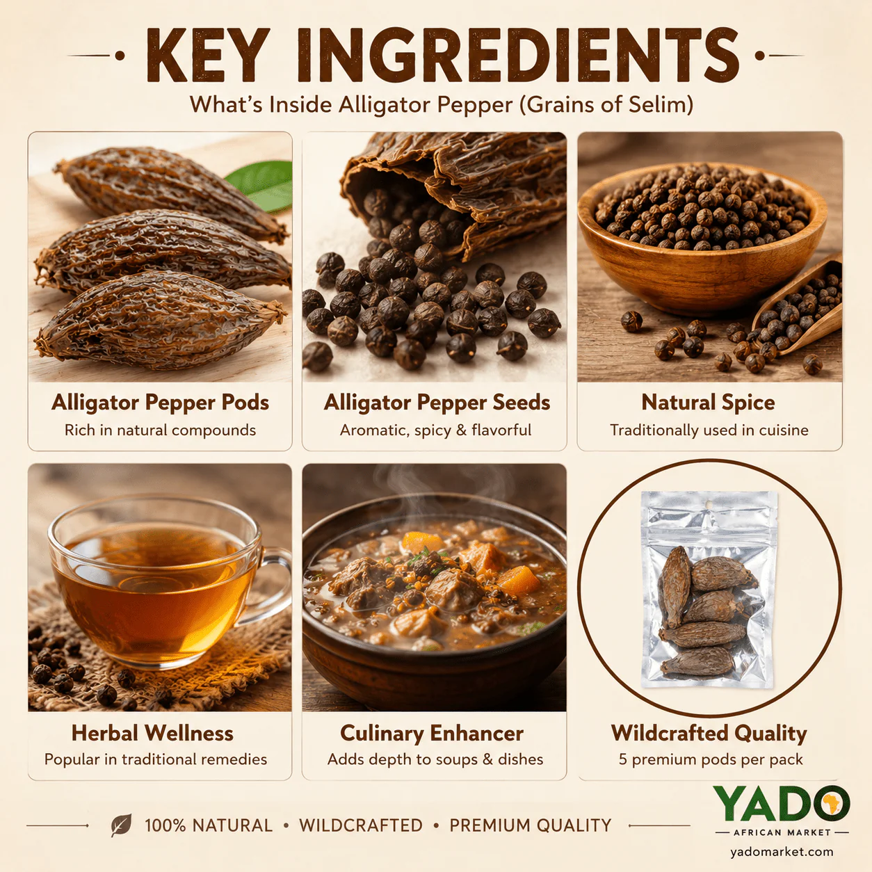 Alligator Pepper (Grains of Paradise) – Authentic African Spice - Image 5