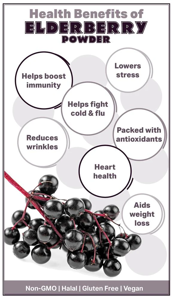 Elderberry Juice Powder – 4 oz. - Image 2