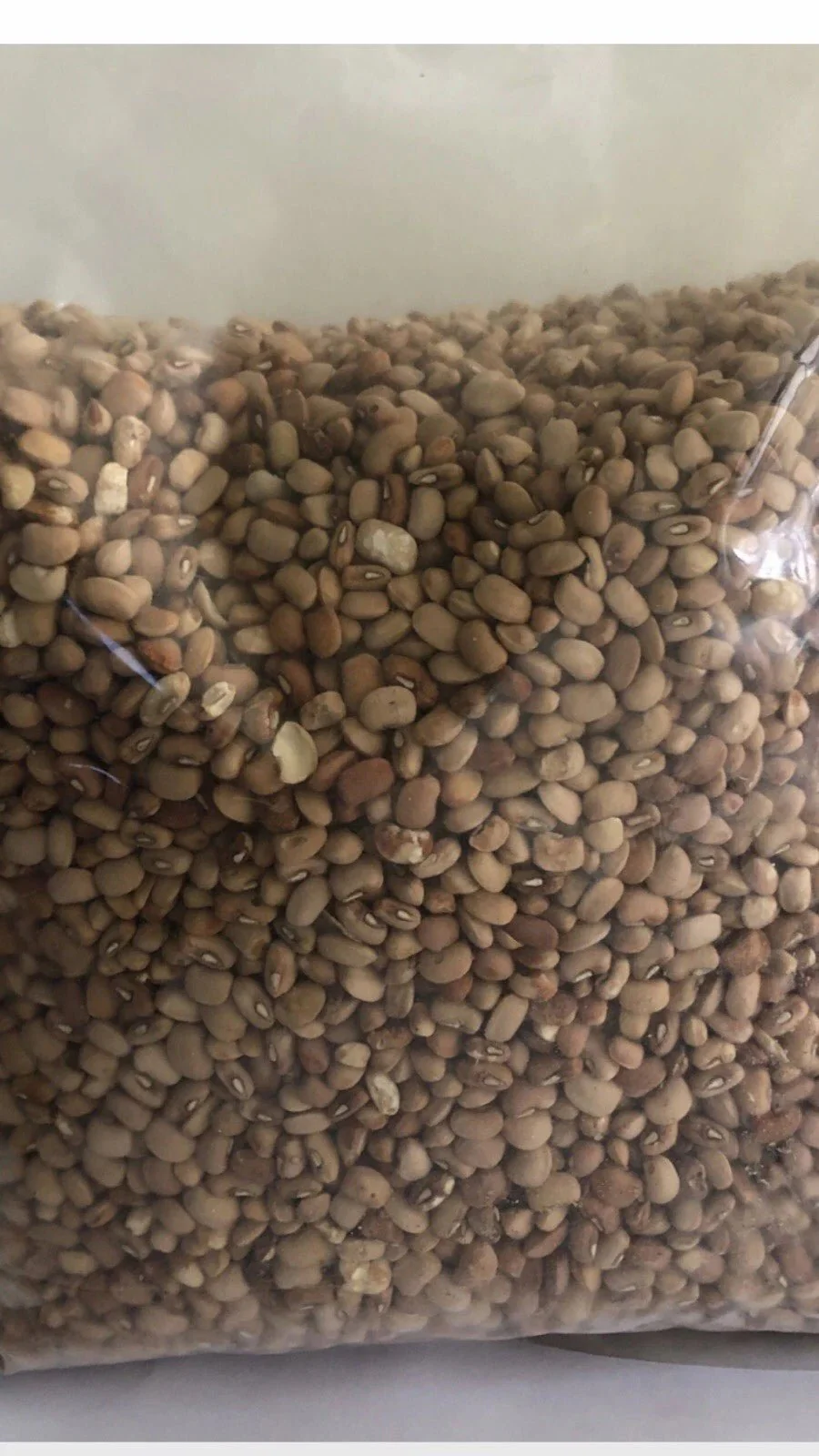 Honey Beans/ewa Oloyin 10lbs - Image 3