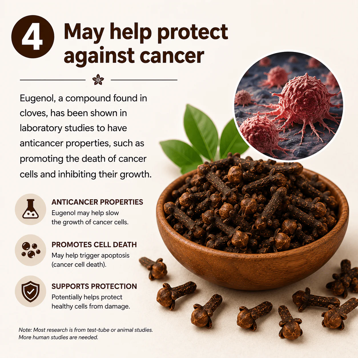Whole Cloves | Premium Aromatic Spice for Cooking - Image 5